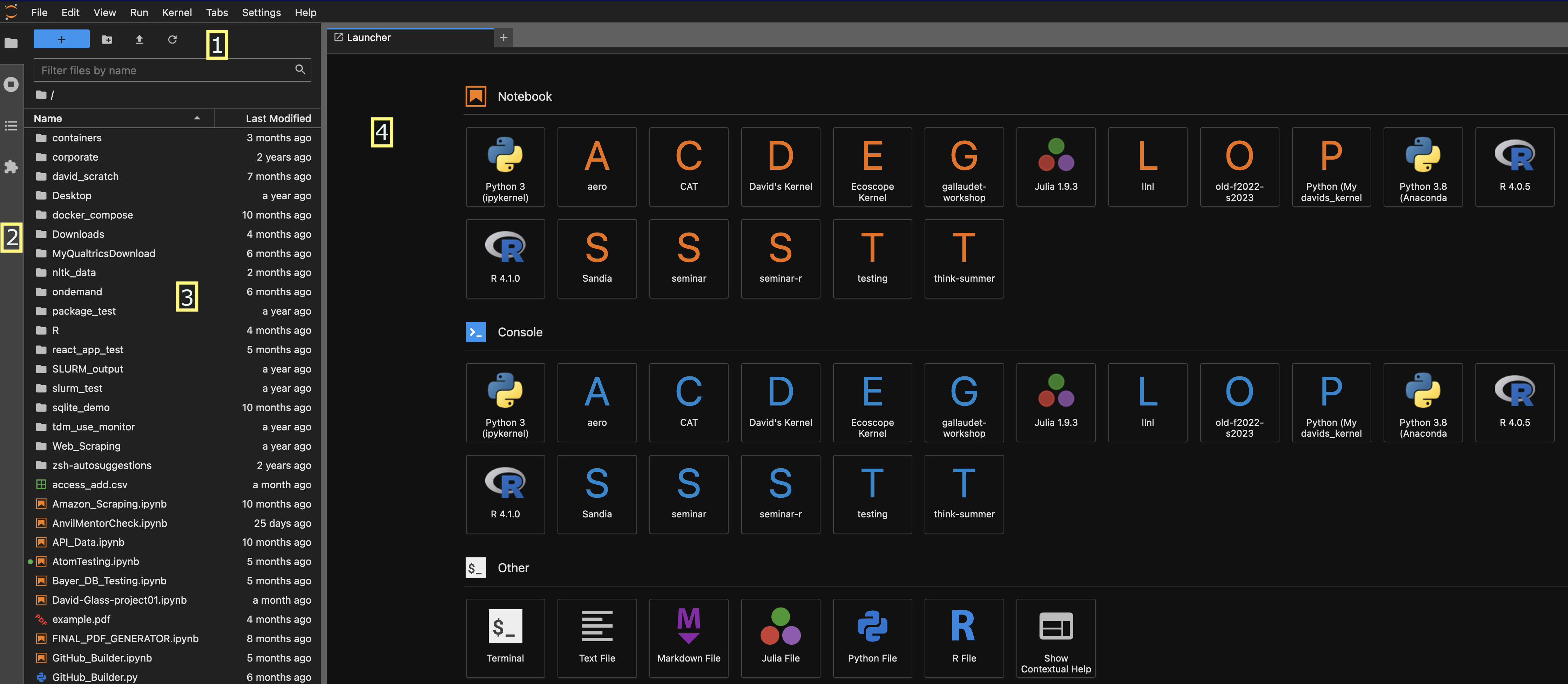 A screenshot of the Jupyter website. The image shows the options bar in the top-left of the screen. Just under the options bar is a 1 with a yellow border, indciating the menu for the image key. On the far left center of the screen is a thin grey vertical menu bar. This menu bar contains a 2 with a yellow border for the image key. The middle-left of the screen shows the file menu with multiple files listed. A 3 is surrounded by a yellow border in the middle of the file menu. The middle-center and middle-right of the screenshot show the Launcher sub-menu. The sub-menu has headers for Notebook, Console, and Other. Under each of the headers are several square icons with names such as CAT, and seminar